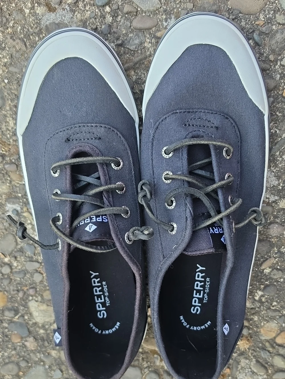 Sperry Men's Dark Gray Canvas Boat Shoes with White Trim